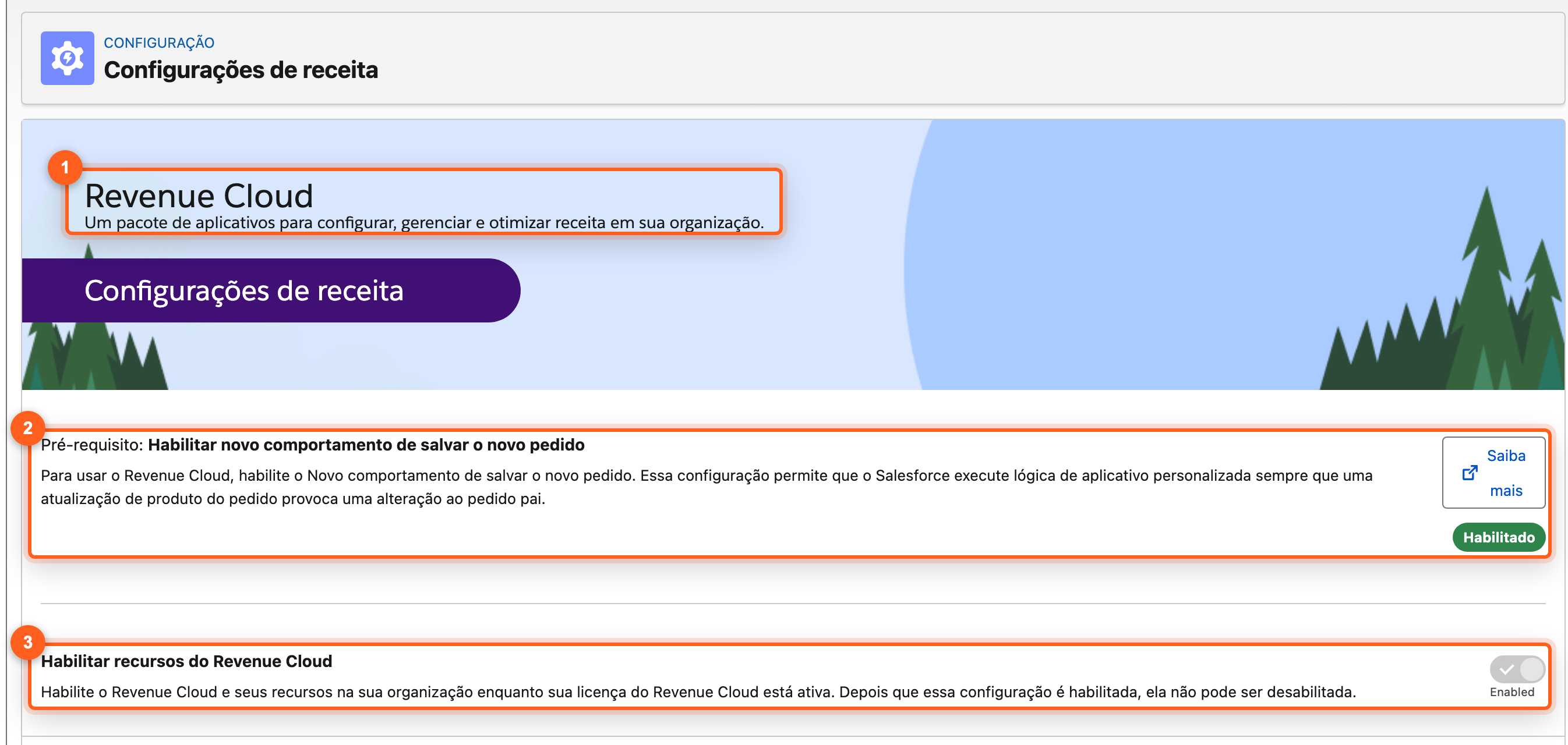 Topo das Configurações de receita de uma org Winter '27 com o título Revenue Cloud e a opção Habilitar recursos do Revenue Cloud